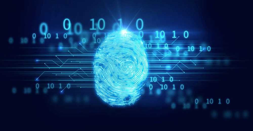 blockchain_technology_ensures_the_security_and_authenticity_of_transactions_martin_fortuna_what-are-cryptocurrencies